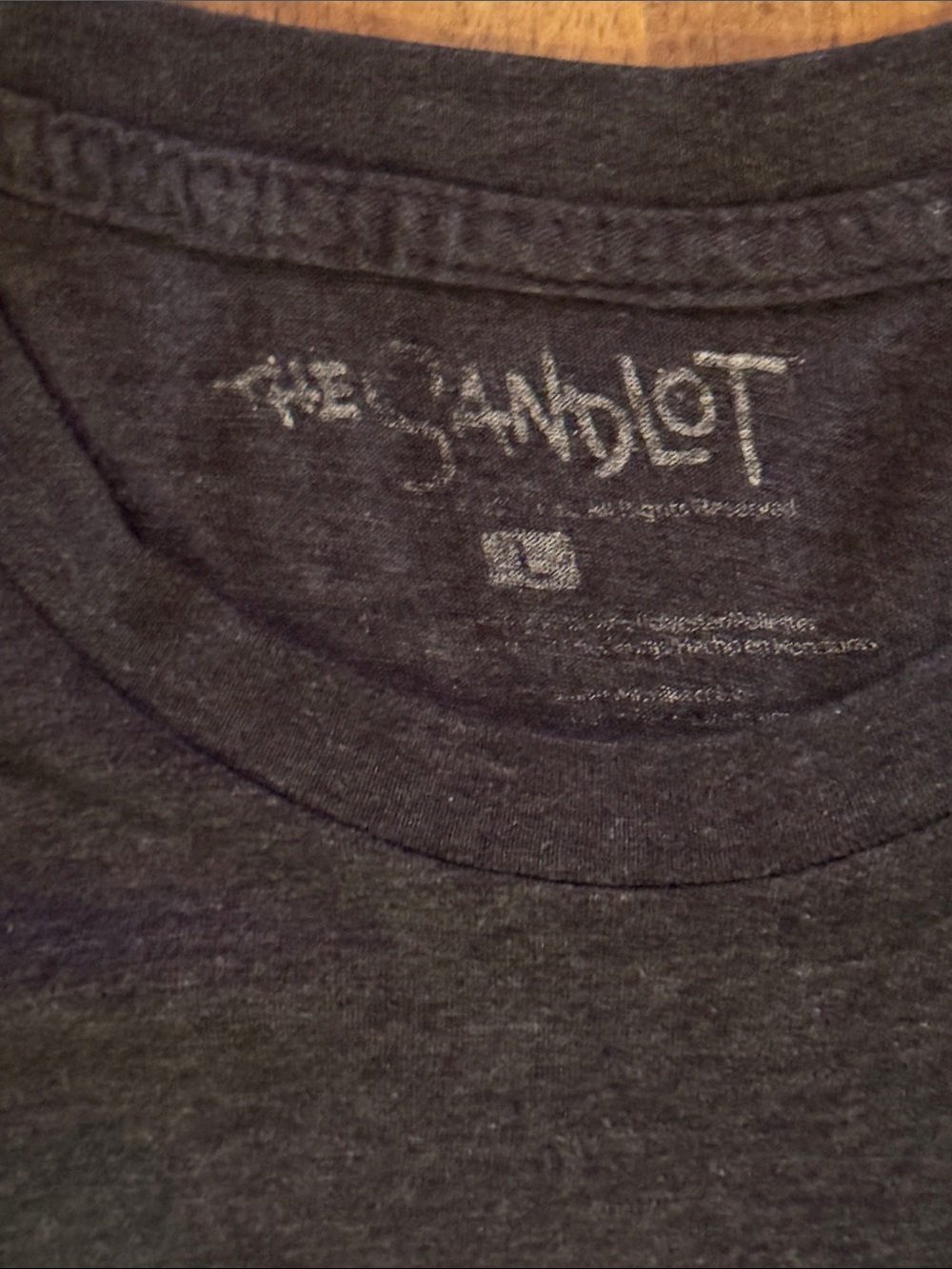 🍎Sandlot Vintage Tee Shirt (2014) - Picture 4 of 5